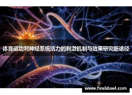 体育运动对神经系统活力的刺激机制与效果研究新途径