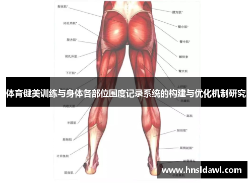 体育健美训练与身体各部位围度记录系统的构建与优化机制研究