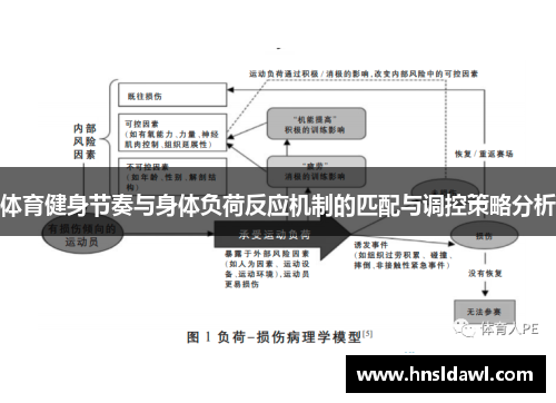 体育健身节奏与身体负荷反应机制的匹配与调控策略分析