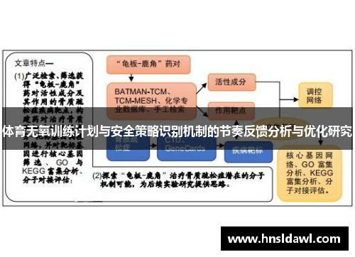 体育无氧训练计划与安全策略识别机制的节奏反馈分析与优化研究